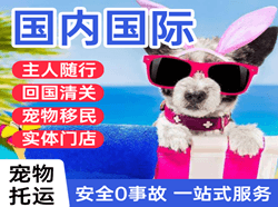 海口航空快递国际宠物托运 【国